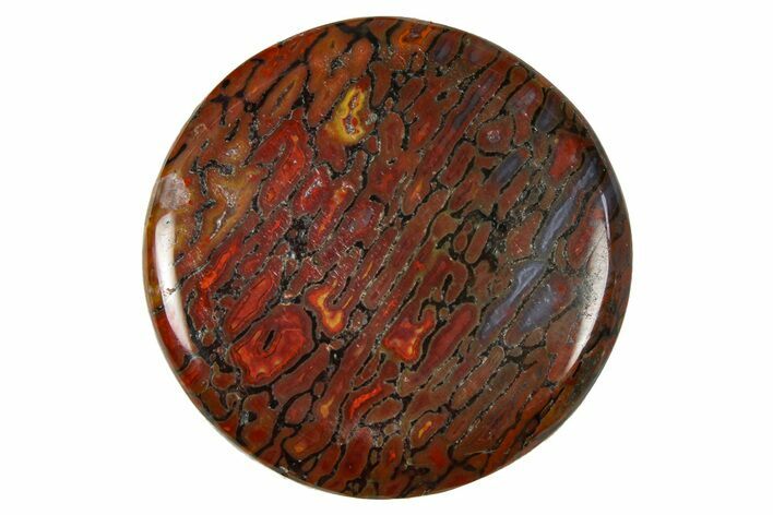 Polished Dinosaur Bone (Gembone) Cabochon - Colorado #370751